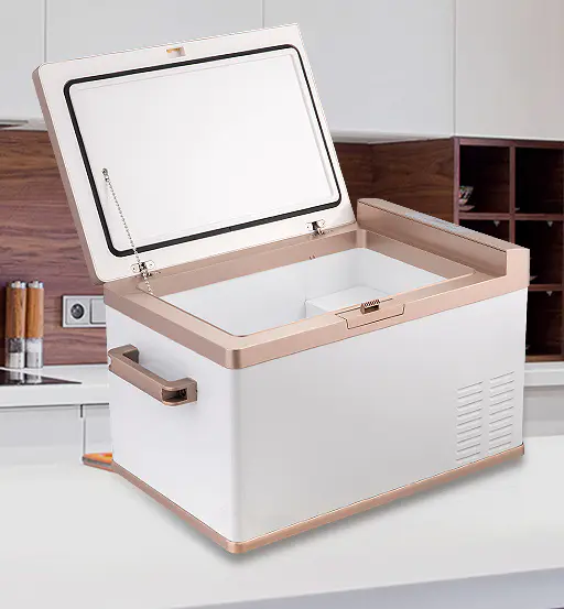 যানবাহনের ফ্রিজ